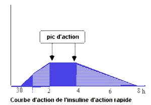 insulines rapides