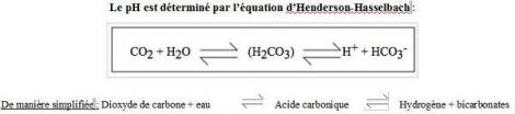 equation Henderson-Hasselbach
