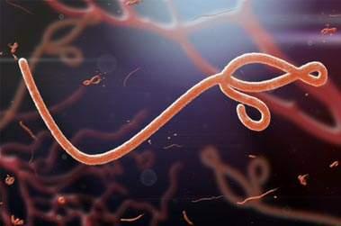 virus ebola pandémie