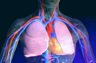 embolie pulmonaire poumons